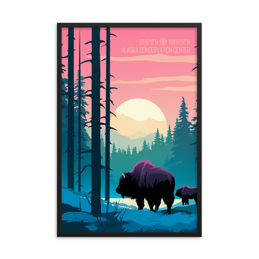 Alaska - Alaska Conservation Center - Bison (Framed poster)