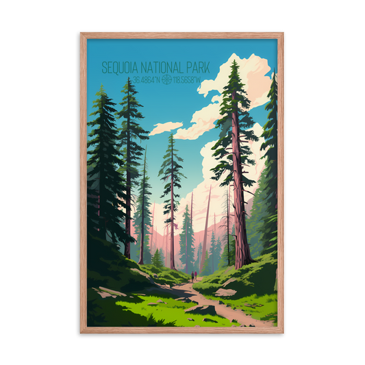 California - Sequoia National Park (Framed poster)