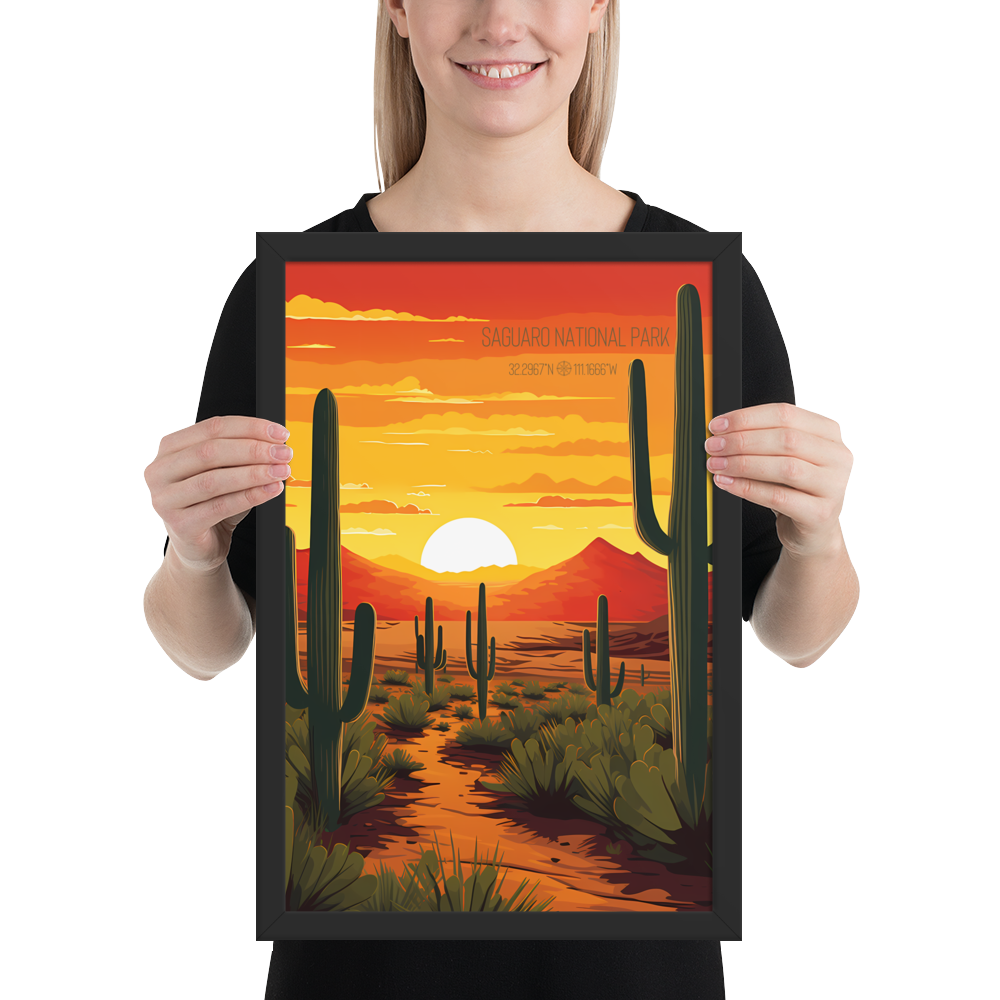 Arizona - Saguaro National Park (Framed poster)