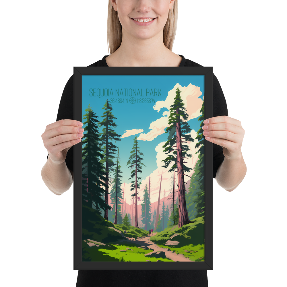 California - Sequoia National Park (Framed poster)