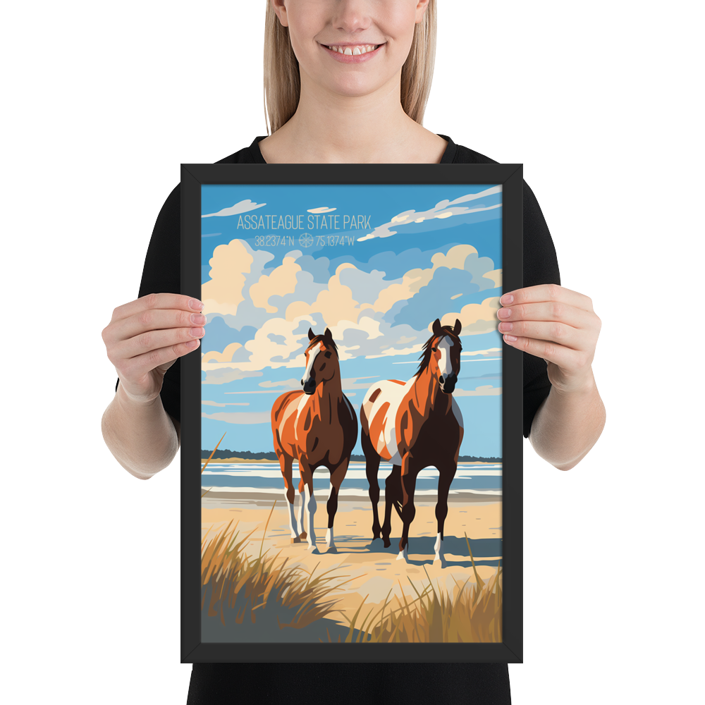 Maryland - Assateague State Park (Framed poster)