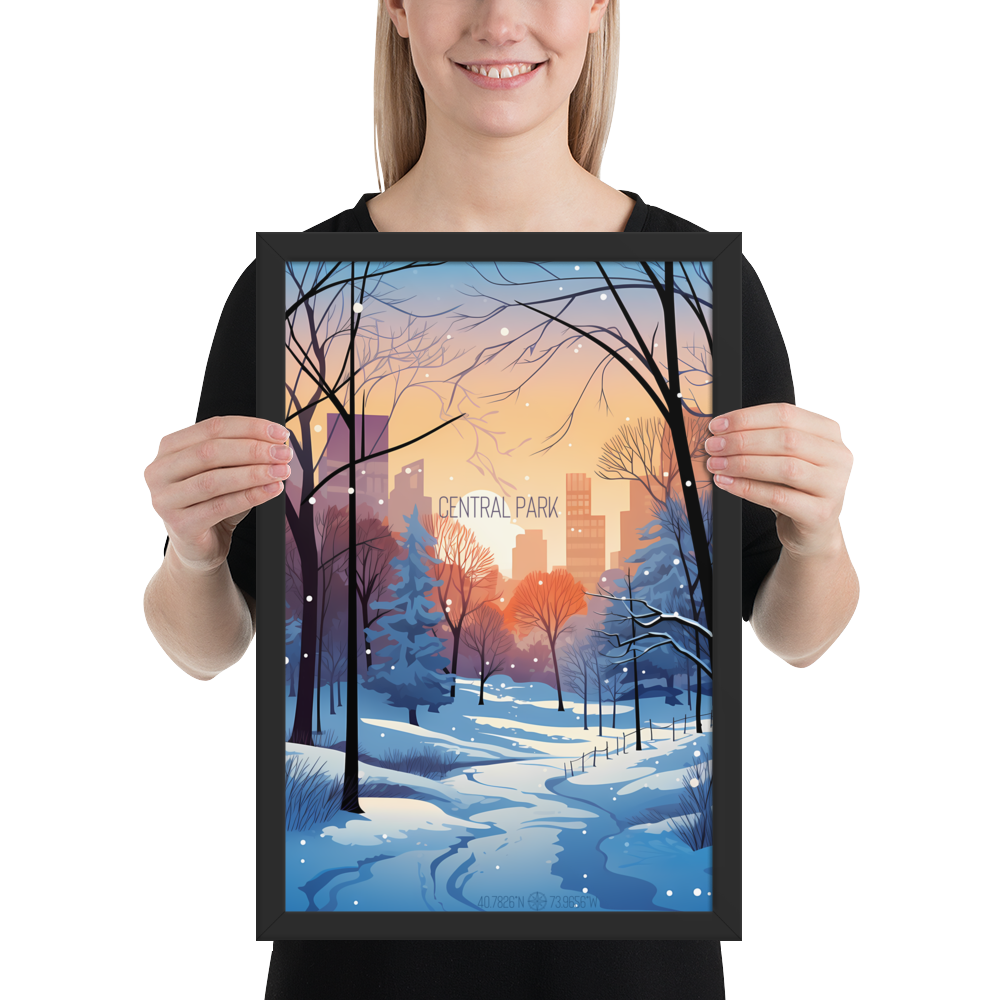 New York - Central Park Winter (Framed poster)