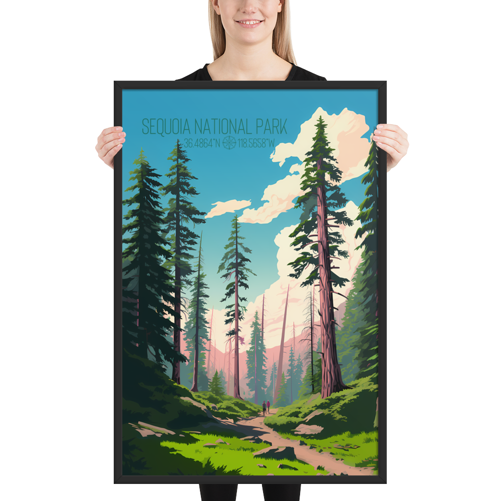 California - Sequoia National Park (Framed poster)