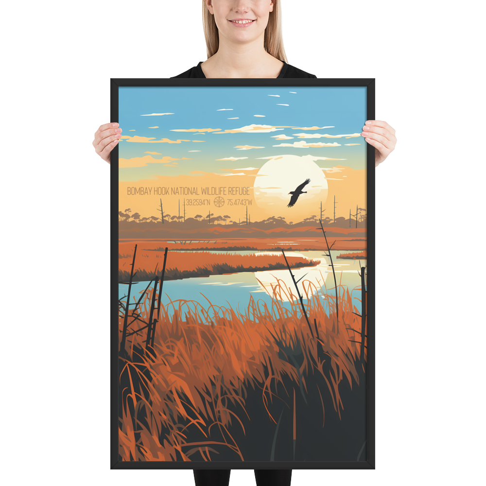 Delaware - Bombay Hook National Wildlife Refuge (Framed poster)