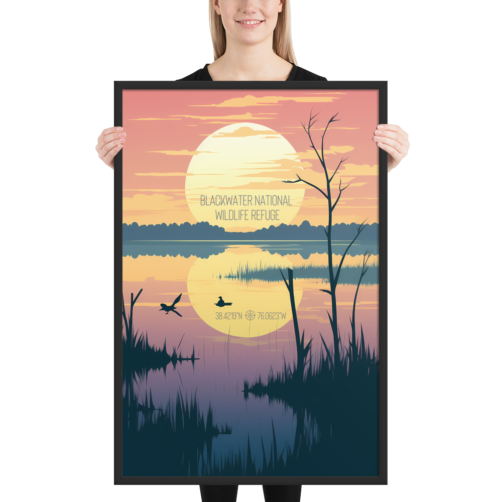 Maryland - Blackwater National Wildlife Refuge (Framed poster)