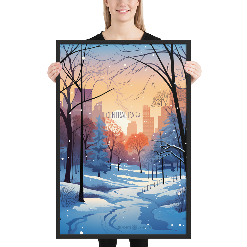 New York - Central Park Winter (Framed poster)