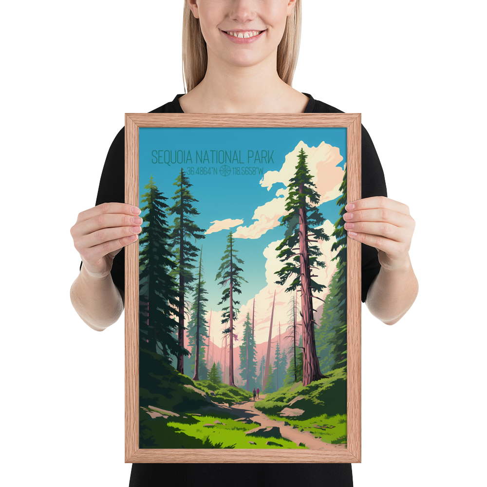 California - Sequoia National Park (Framed poster)