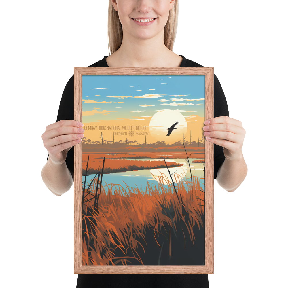 Delaware - Bombay Hook National Wildlife Refuge (Framed poster)