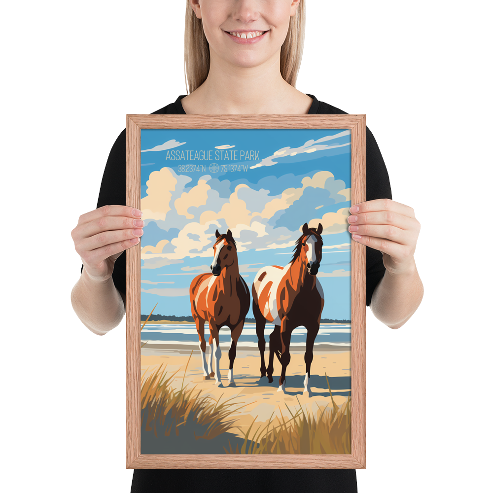 Maryland - Assateague State Park (Framed poster)