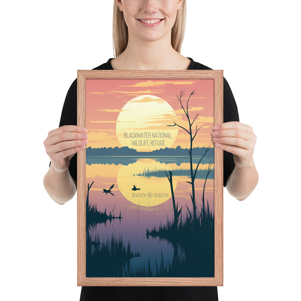 Maryland - Blackwater National Wildlife Refuge (Framed poster)