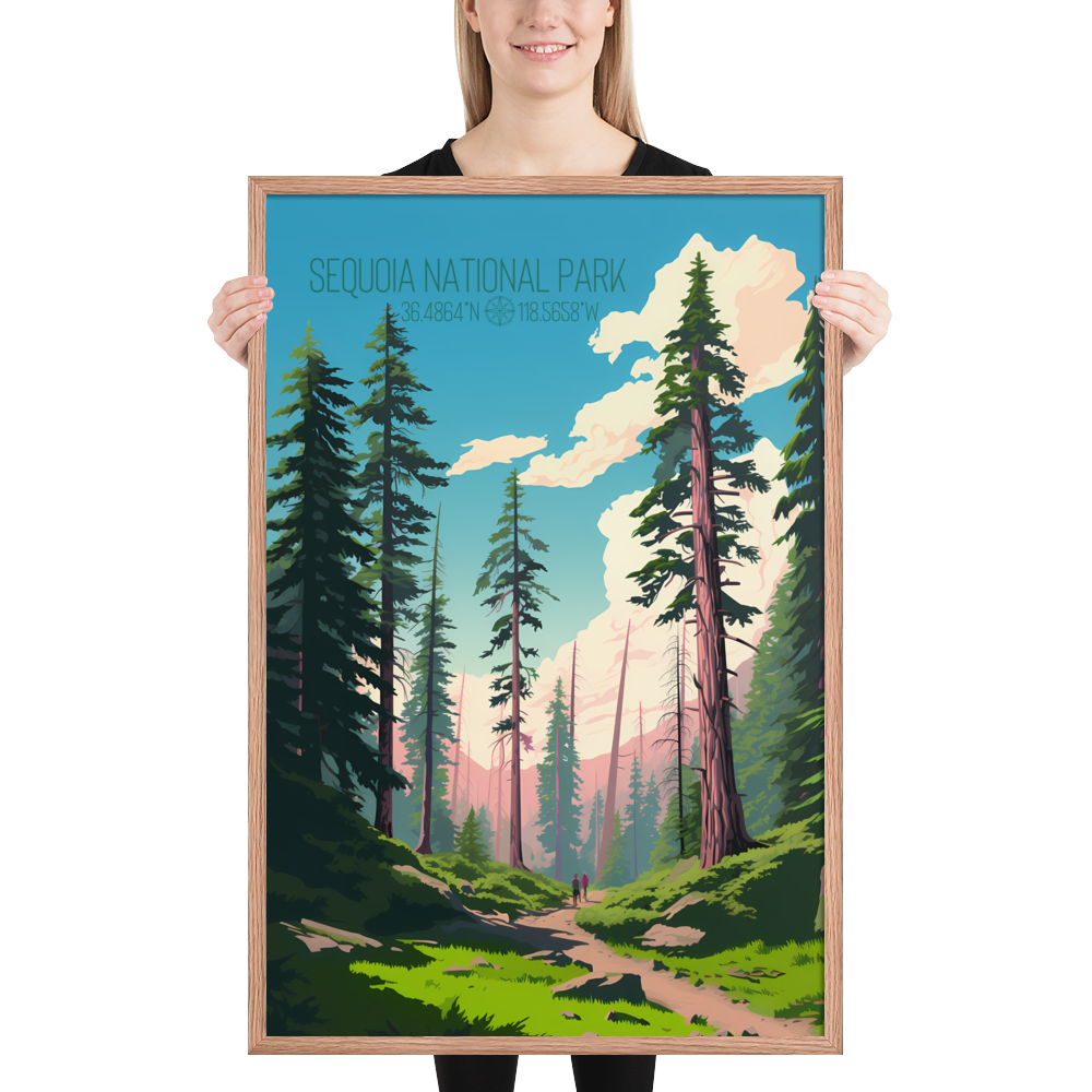 California - Sequoia National Park (Framed poster)