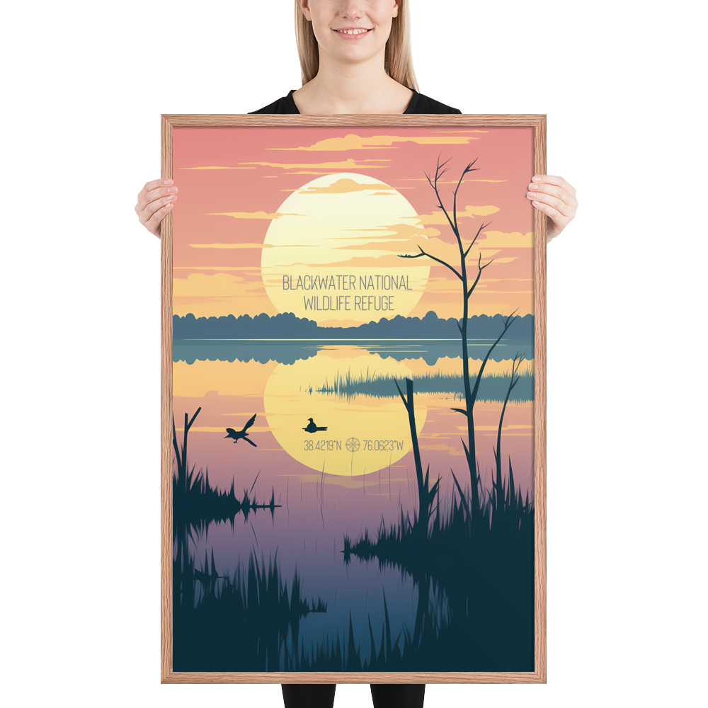 Maryland - Blackwater National Wildlife Refuge (Framed poster)