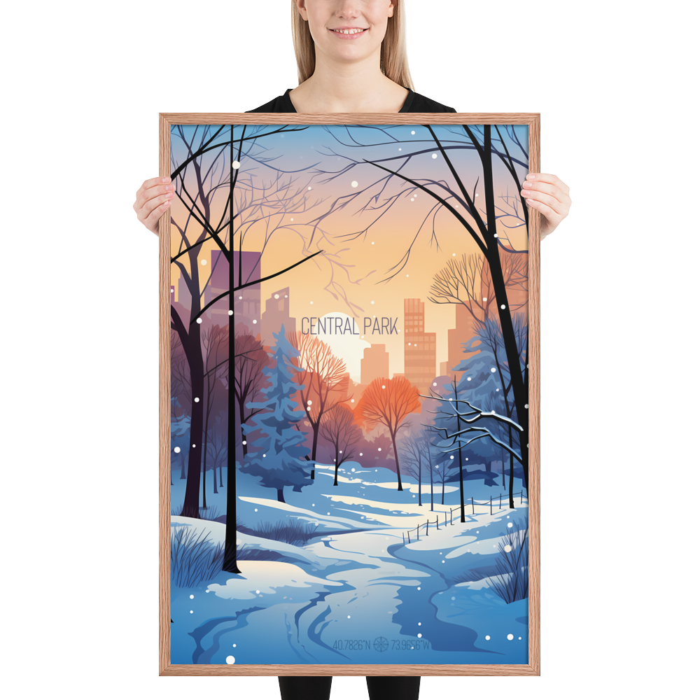 New York - Central Park Winter (Framed poster)