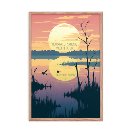 Maryland - Blackwater National Wildlife Refuge (Framed poster)