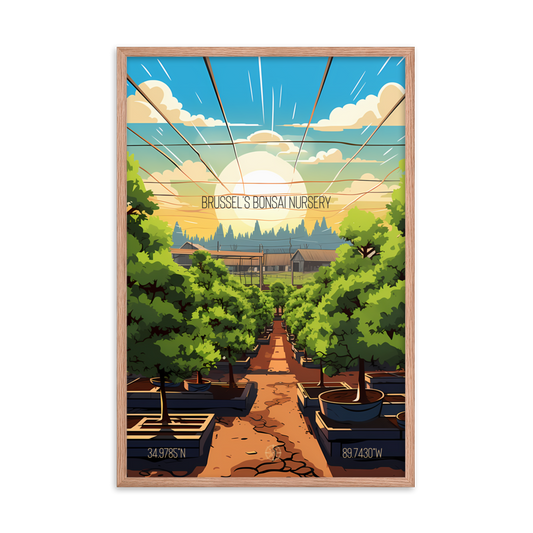 Mississippi -  Brussels Bonsai Nursery (Framed poster)