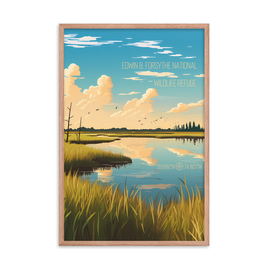 New Jersey - Edwin B. Forsythe National Wildlife Refuge (Framed poster)