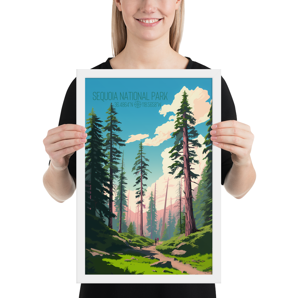 California - Sequoia National Park (Framed poster)