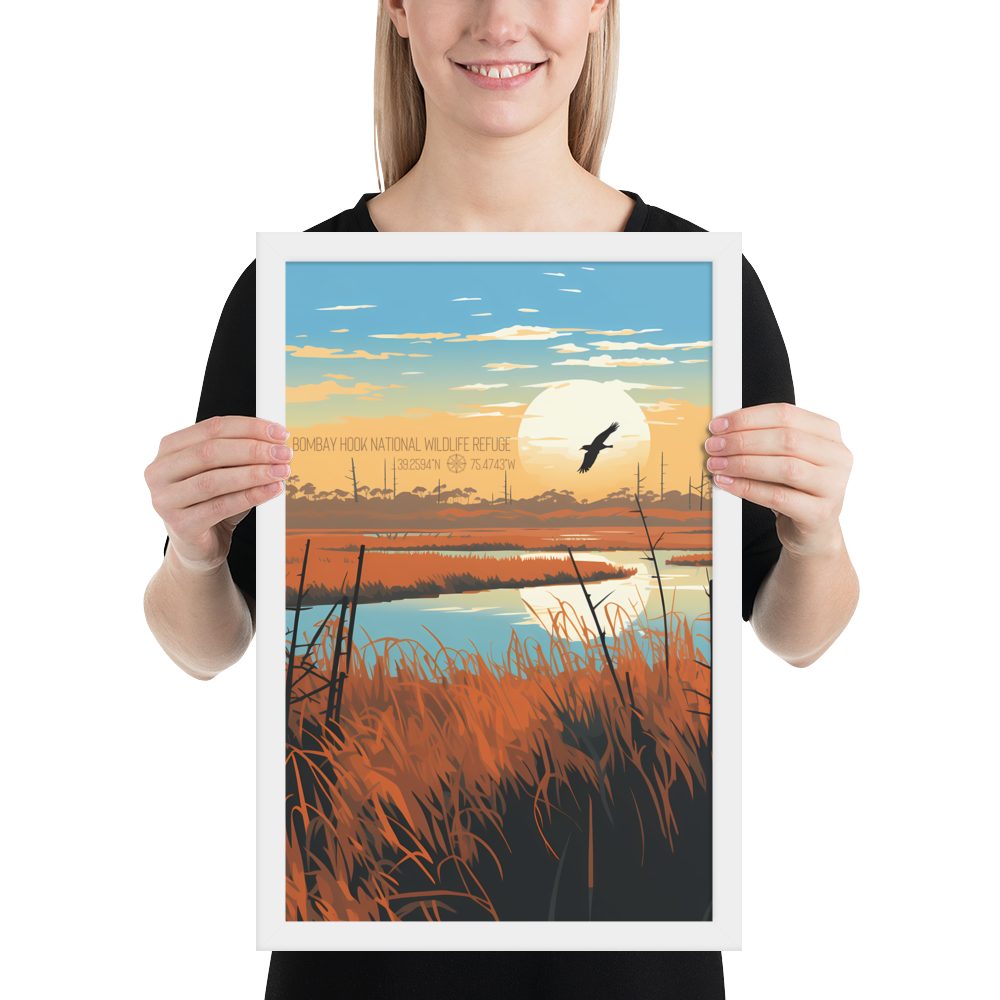 Delaware - Bombay Hook National Wildlife Refuge (Framed poster)