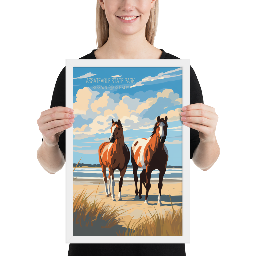 Maryland - Assateague State Park (Framed poster)