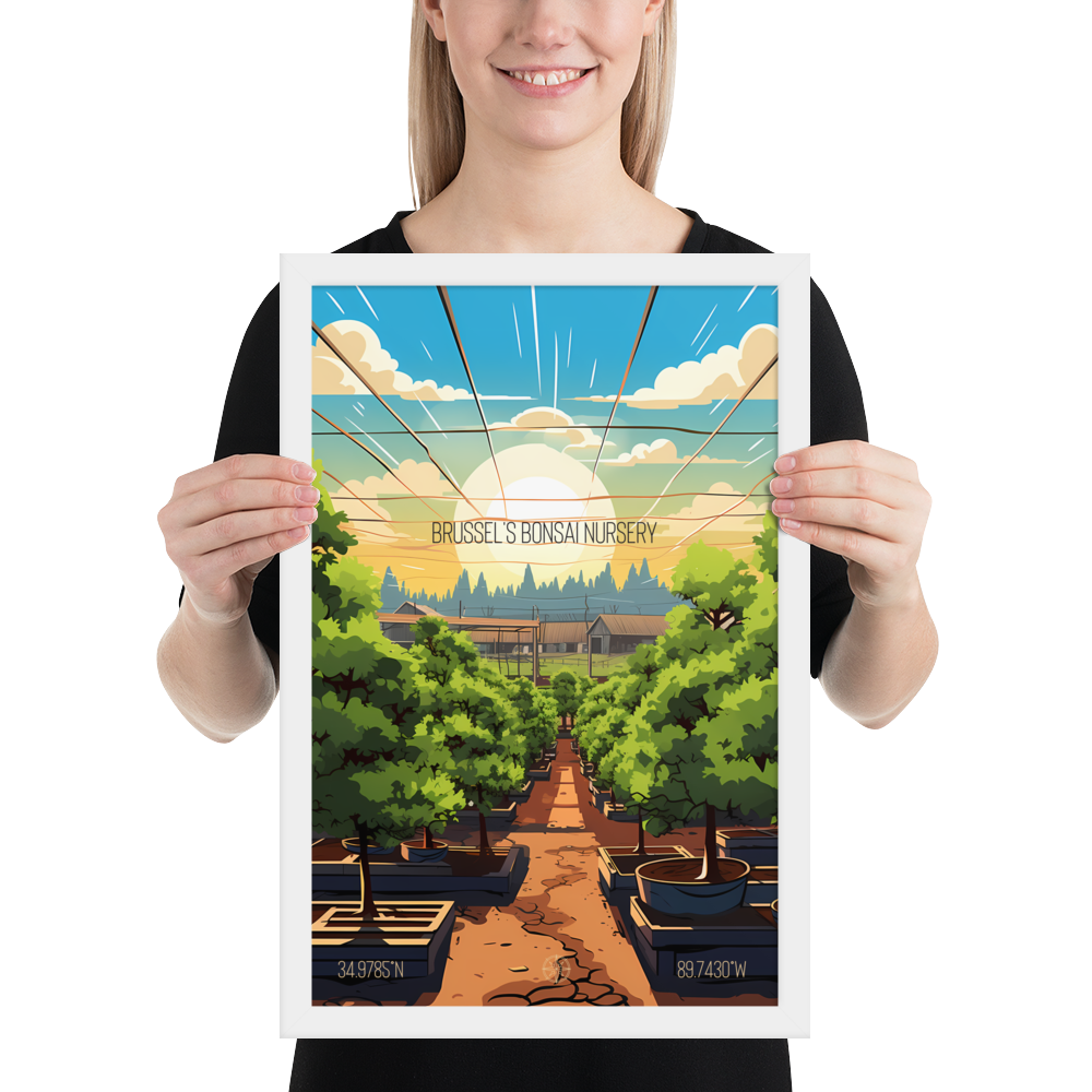 Mississippi -  Brussels Bonsai Nursery (Framed poster)