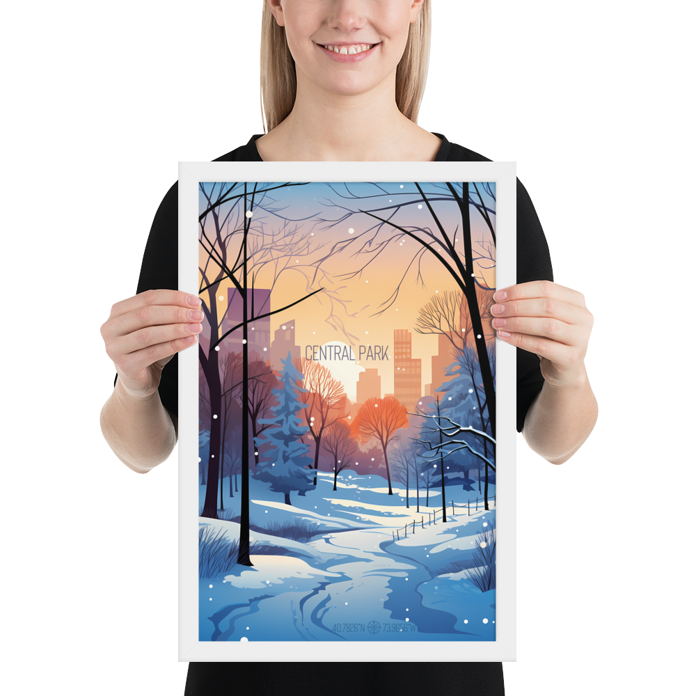 New York - Central Park Winter (Framed poster)