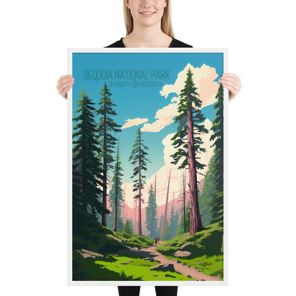 California - Sequoia National Park (Framed poster)