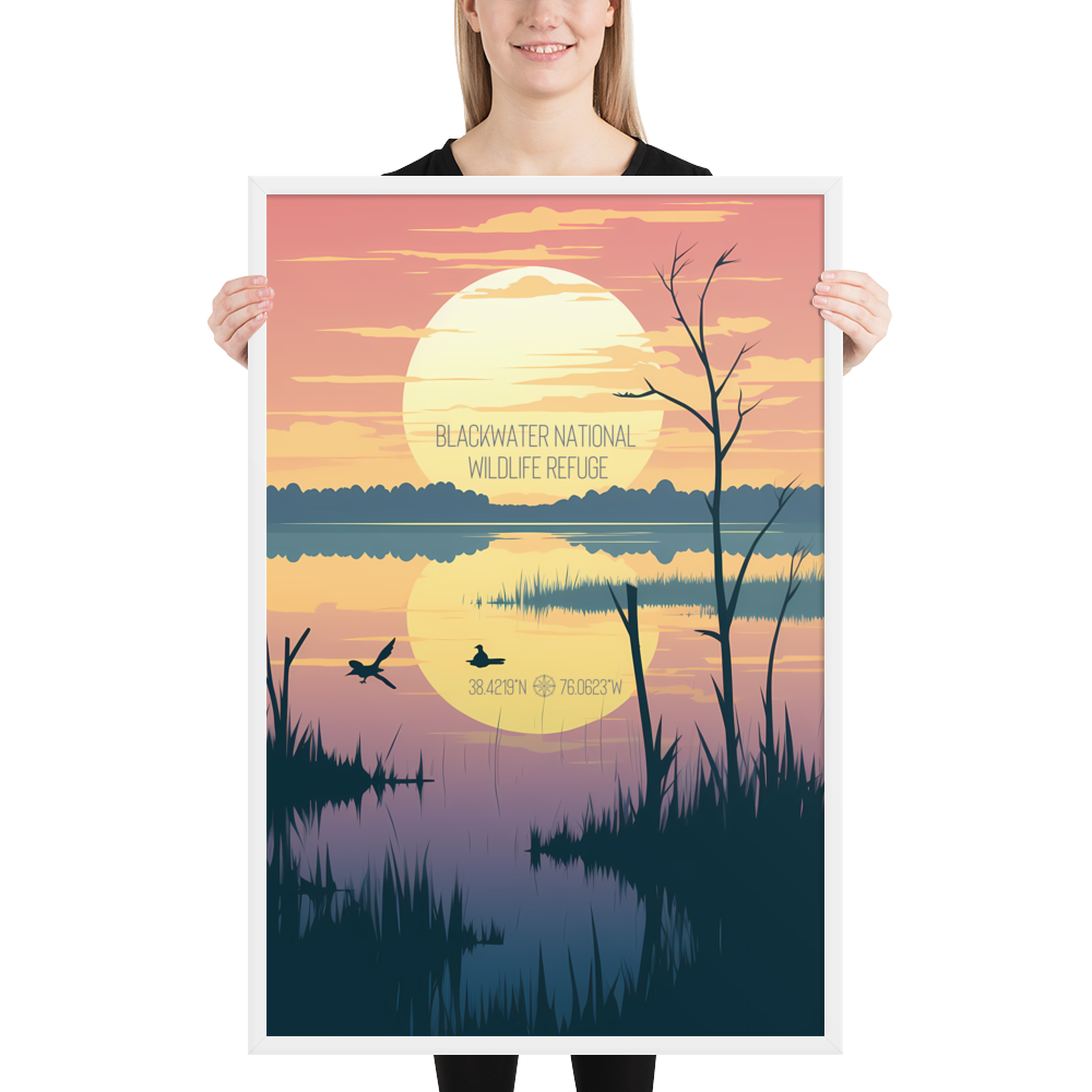 Maryland - Blackwater National Wildlife Refuge (Framed poster)