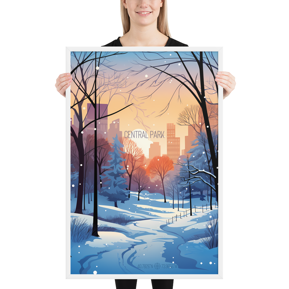 New York - Central Park Winter (Framed poster)